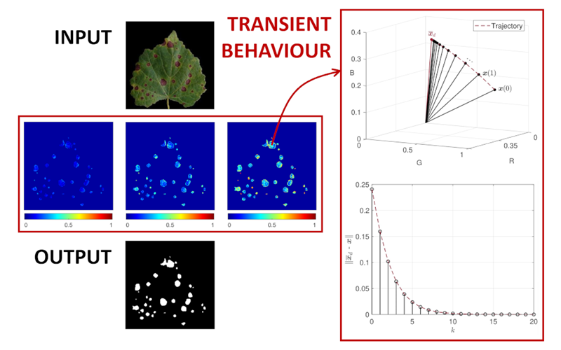 A system-theoretic approach for image-based infectious plant disease severity estimation
