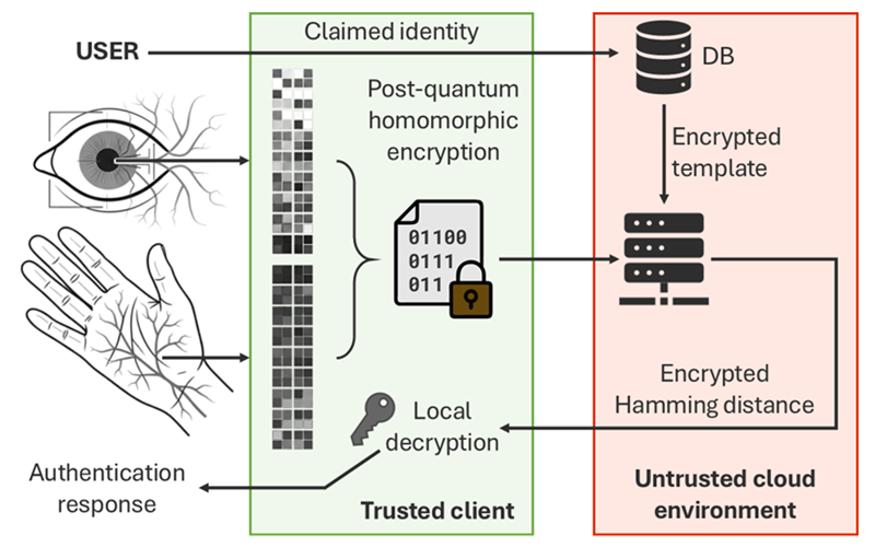 A Post-Quantum Cryptography Enabled Feature-Level Fusion Framework for Privacy-Preserving Multimodal Biometric Recognition